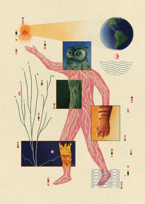 Medicinal - Signed Hardcover (Pre-Order)