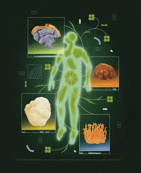 functional cacao drink supporting aerobic capacity and brain health